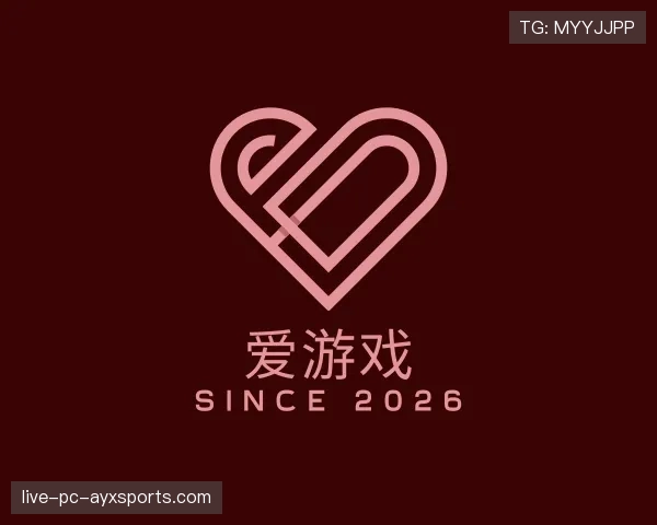 关于爱游戏世界杯